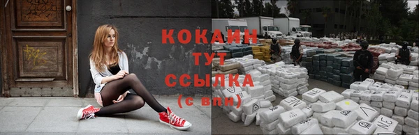 jwh Алзамай